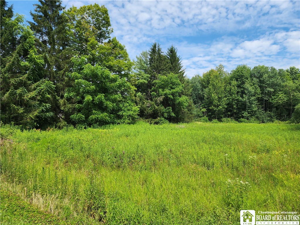 Photo 1 of 6 — 0 School Street, Mina, NY 14736