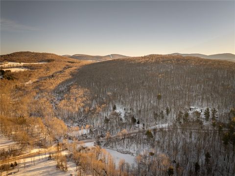 Tiny photo for 941 Brush Hollow Road, Bovina, NY 13740 (MLS # R1655644)