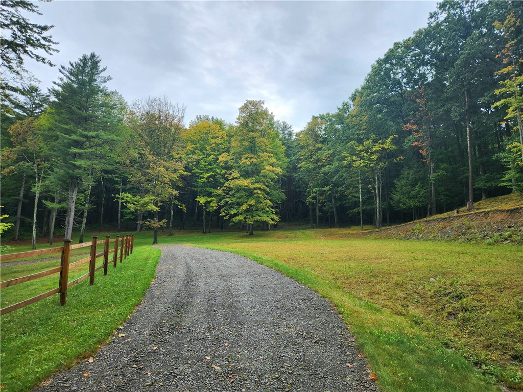 316 Seminary Road, Hartwick, New York image 8