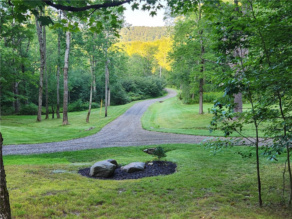 316 Seminary Road, Hartwick, New York image 4