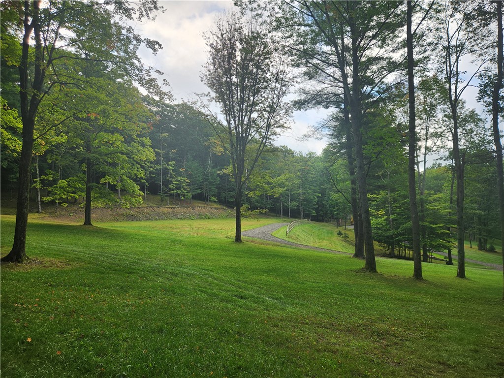 316 Seminary Road, Hartwick, New York image 20