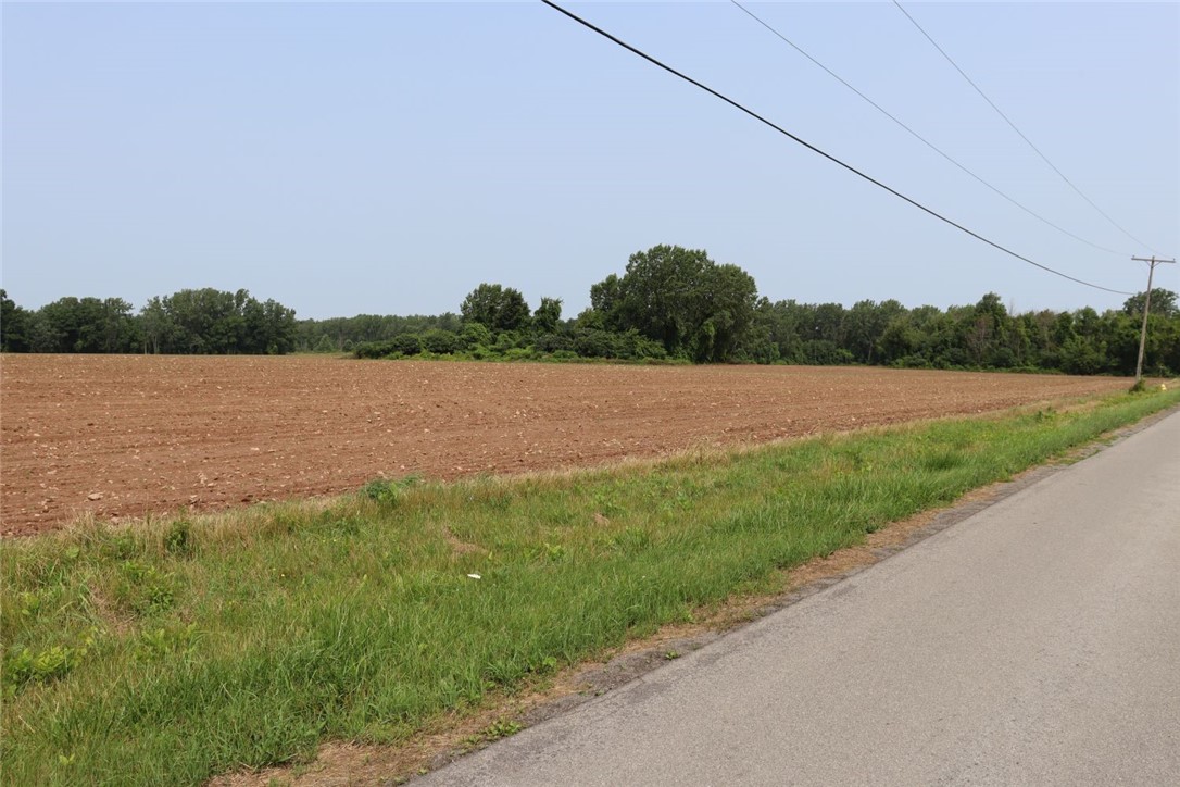 Taylor Road, Clarendon, New York image 20