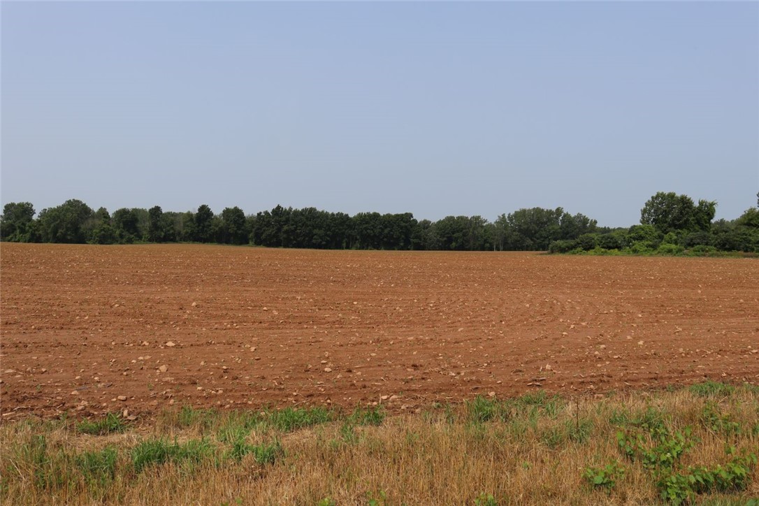 Taylor Road, Clarendon, New York image 22