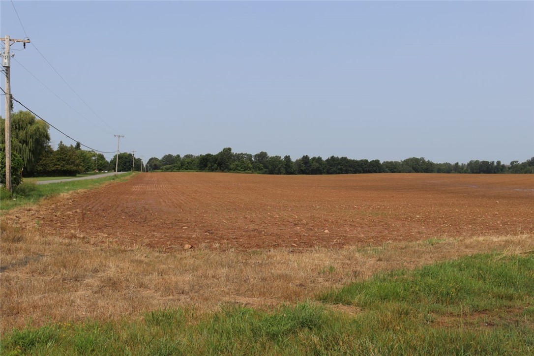 Taylor Road, Clarendon, New York image 5