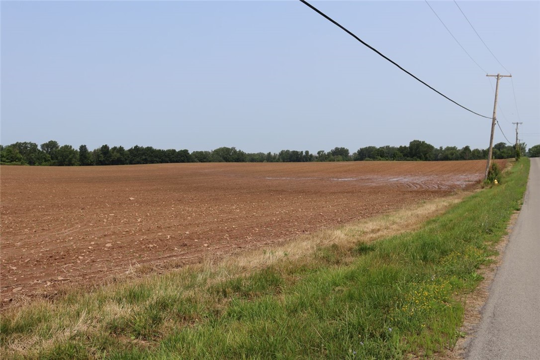 Taylor Road, Clarendon, New York image 8