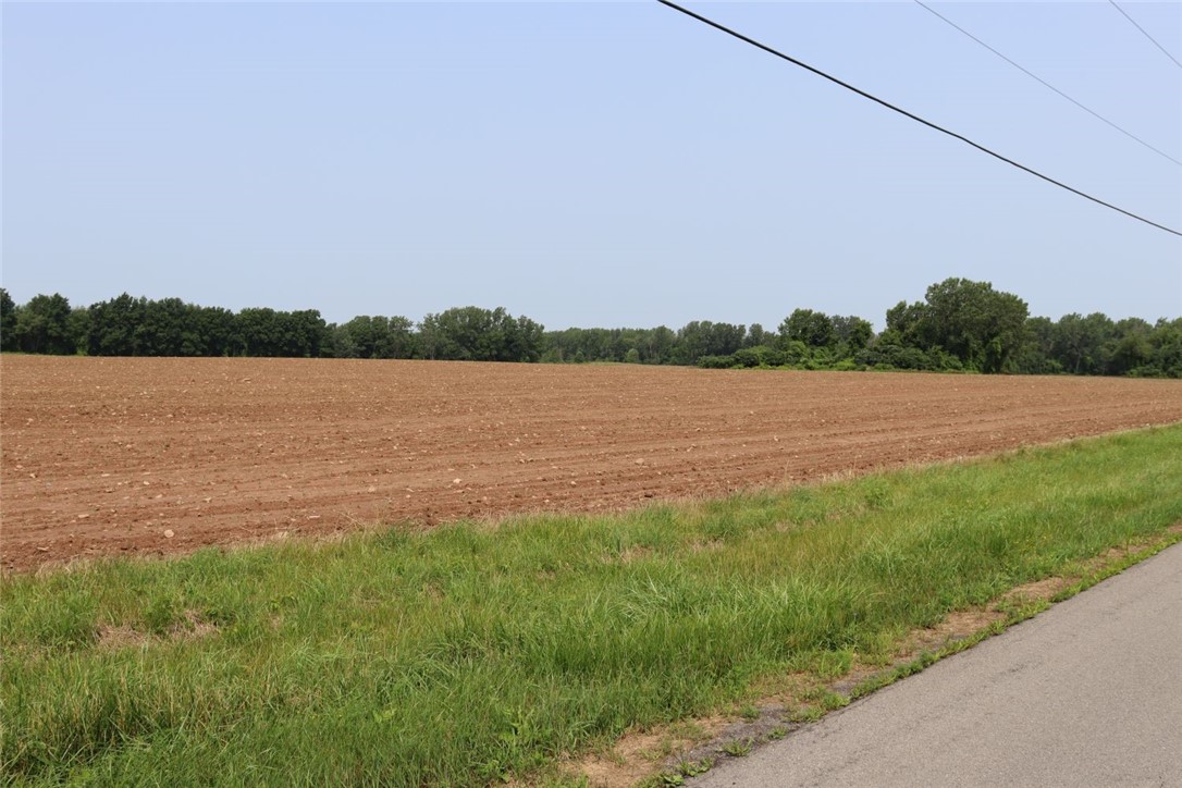 Taylor Road, Clarendon, New York image 18
