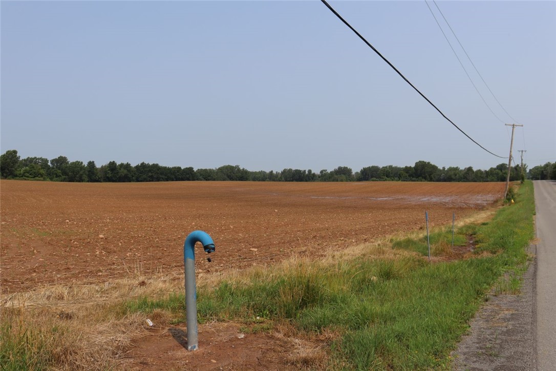 Taylor Road, Clarendon, New York image 6