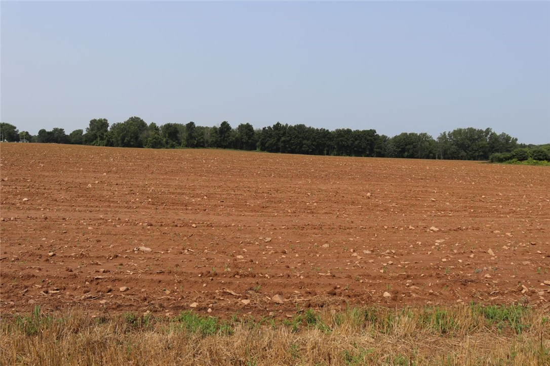 Taylor Road, Clarendon, New York image 28