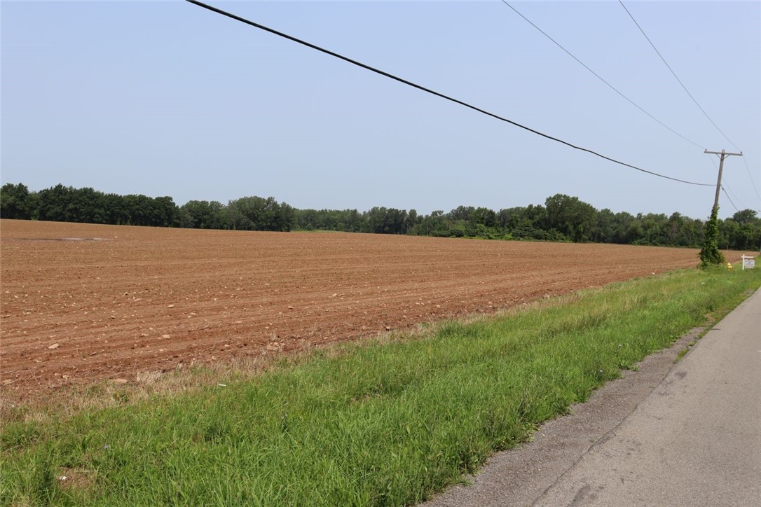 Taylor Road, Clarendon, New York image 15