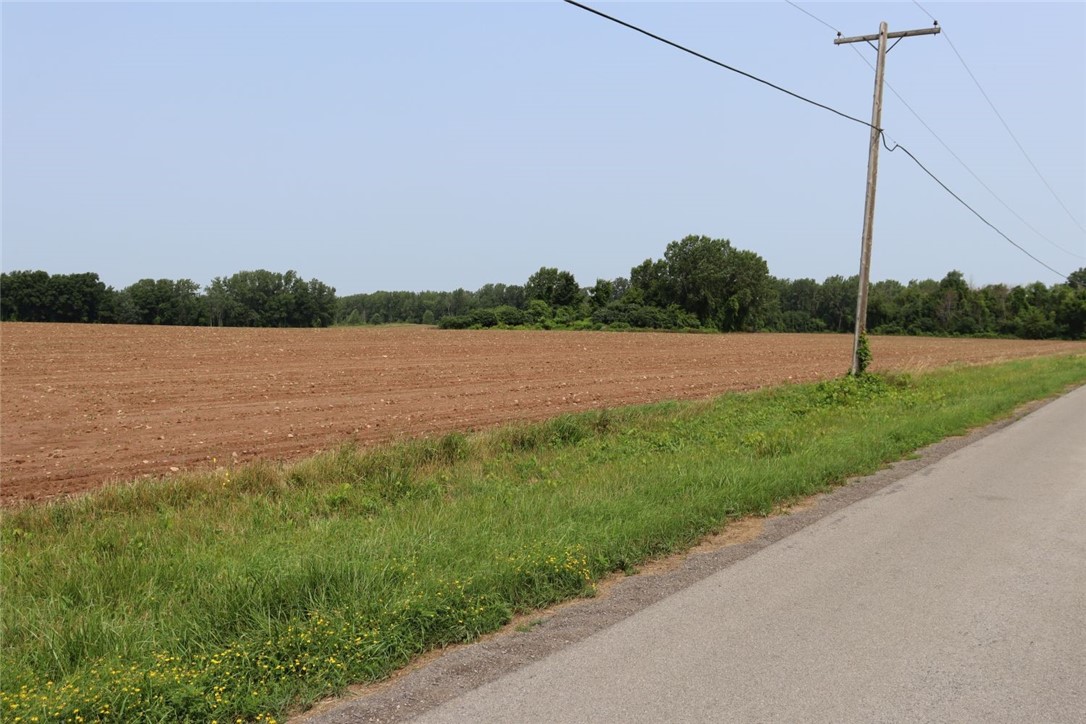 Taylor Road, Clarendon, New York image 19