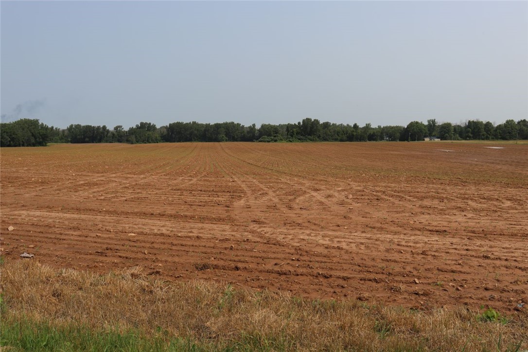 Taylor Road, Clarendon, New York image 33