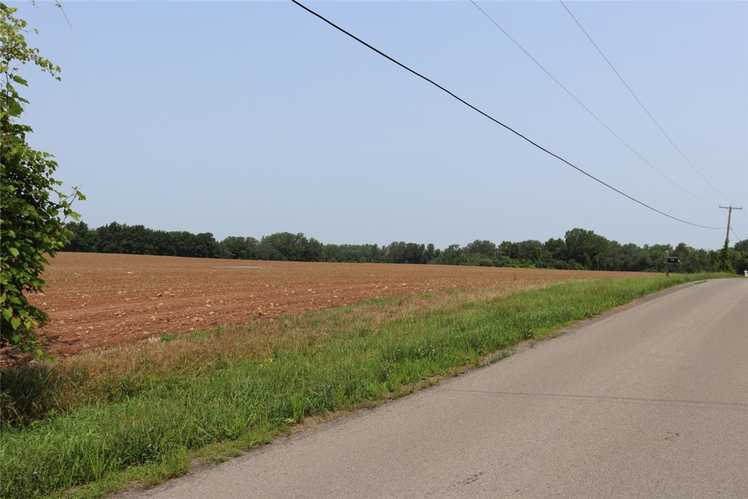 Taylor Road, Clarendon, New York image 13