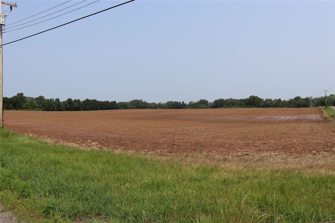 Taylor Road, Clarendon, New York image 2