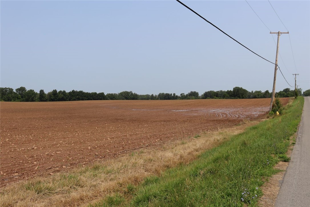 Taylor Road, Clarendon, New York image 9