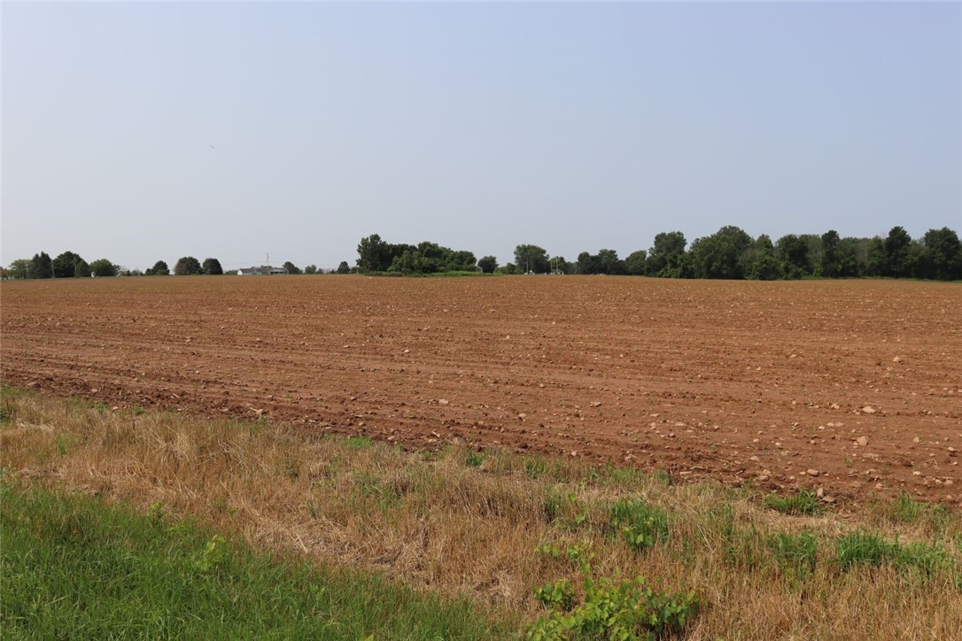 Taylor Road, Clarendon, New York image 23