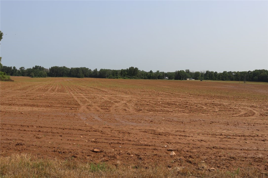 Taylor Road, Clarendon, New York image 31