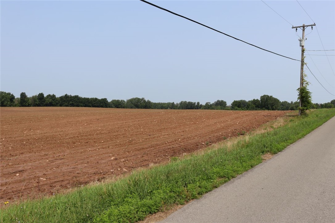Taylor Road, Clarendon, New York image 12