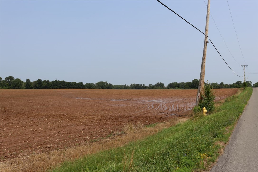 Taylor Road, Clarendon, New York image 10