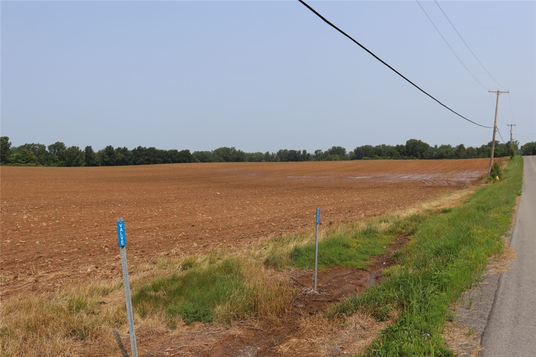 Taylor Road, Clarendon, New York image 7