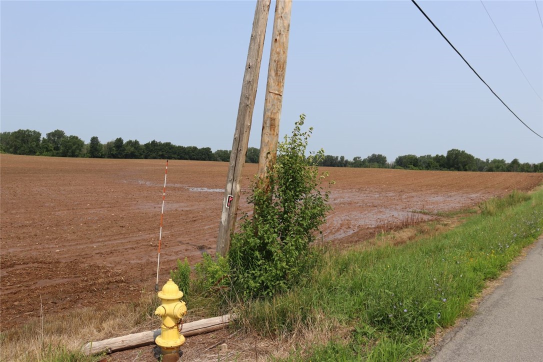 Taylor Road, Clarendon, New York image 11