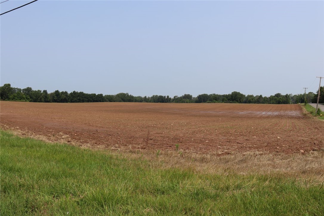 Taylor Road, Clarendon, New York image 3