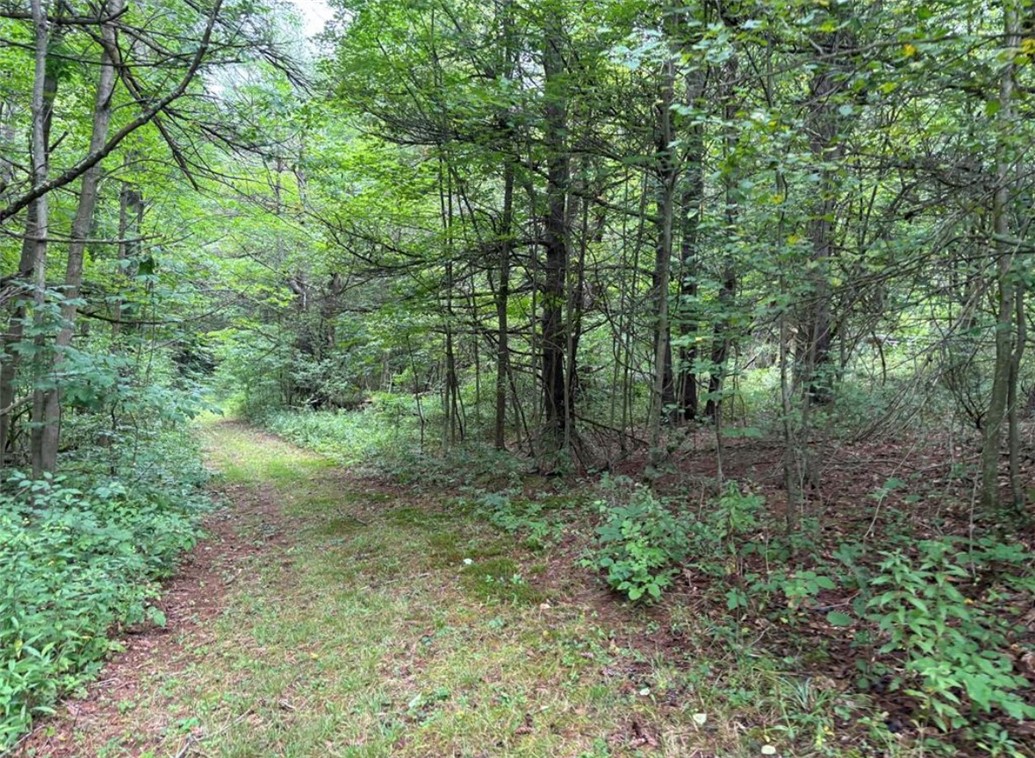 00 Browntown Road Lot 3