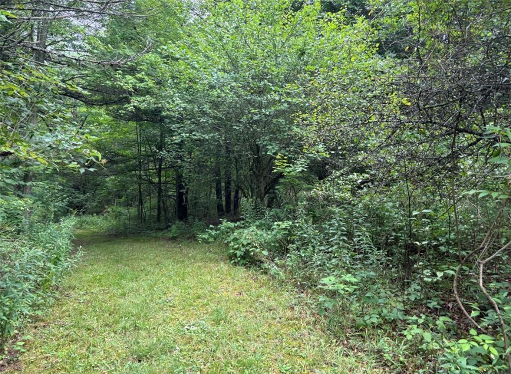 00 Browntown Road Lot 3
