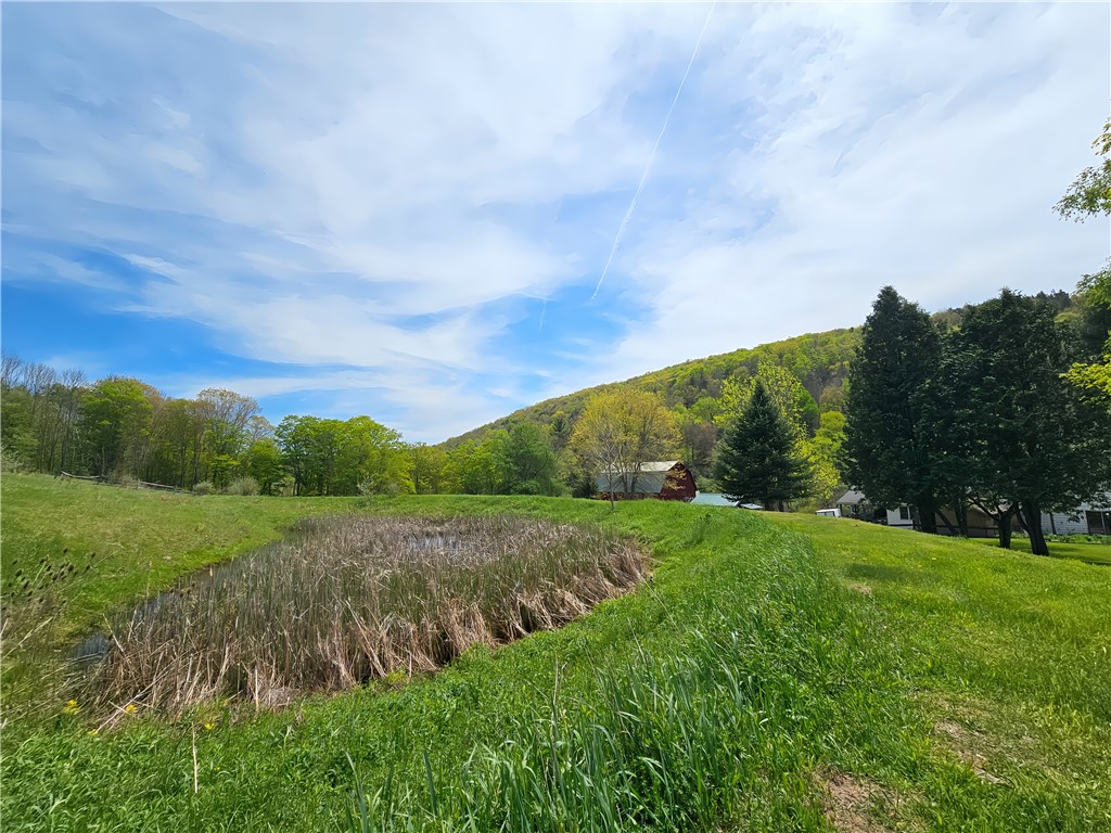 3423 60, Greenwood, New York image 10