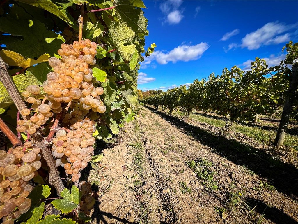 Photo of 6800 State Route 89, Romulus, NY 14521 (MLS # R1647977)