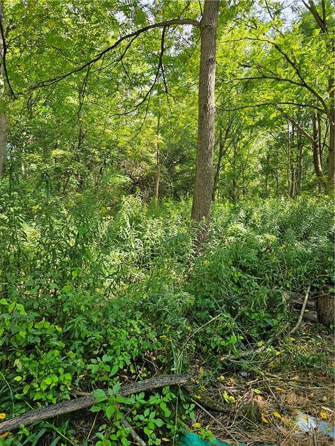 0 Lyons Marengo Road Clyde NY 14433