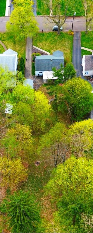 1716 Lovell Terrace Ter, Elmira, New York image 18