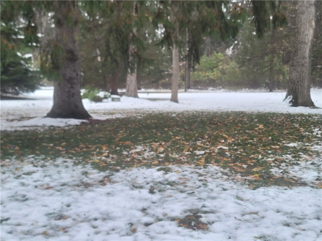 0 Country Woods Lane