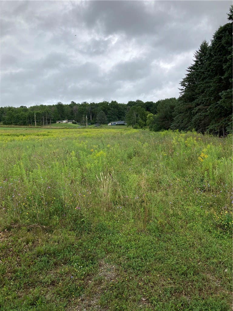 Photo of 9027 Schuster Rd Road, Sparta, NY 14437 (MLS # R1709801)