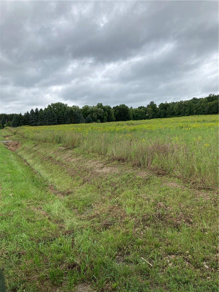 Photo of 9027 Schuster Rd Road, Sparta, NY 14437 (MLS # R1709801)