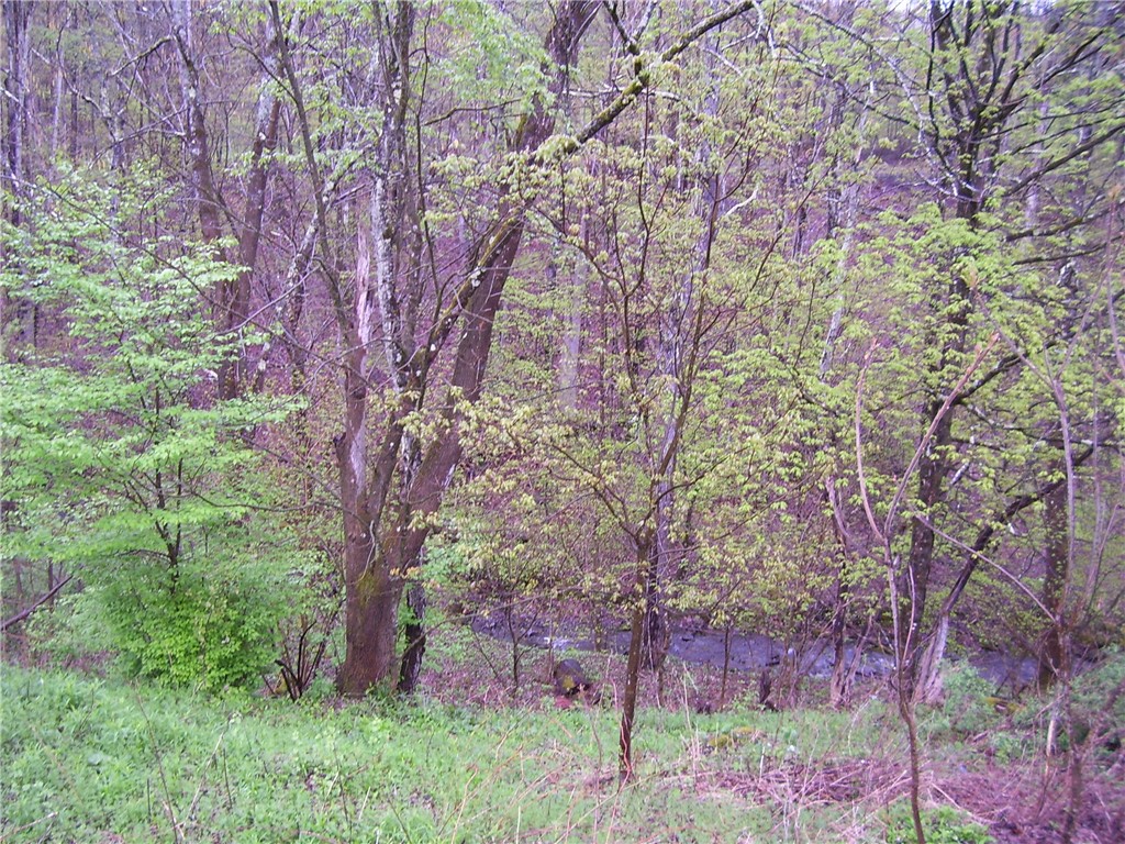 328 Whaupaunaucau Road, North Norwich, New York image 2