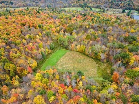 Vacant Land For Sale - 734 Post Road<br/> Franklin, NY 13775