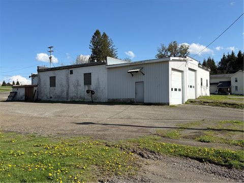 Tiny photo for 2505 State Highway 206, Coventry, NY 13778 (MLS # R1692846)