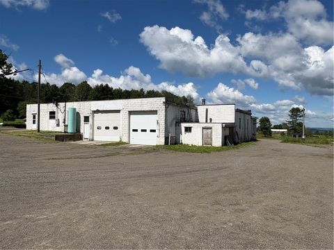 Tiny photo for 2505 State Highway 206, Coventry, NY 13778 (MLS # R1692846)