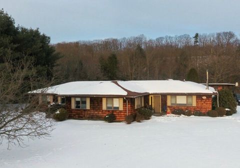 8234 Lisman Lane Arkport NY 14807