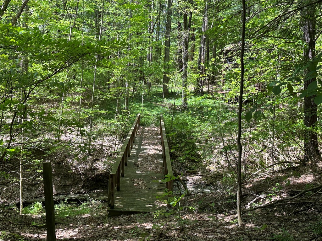 8128 W Hollow Road, Naples, New York image 9