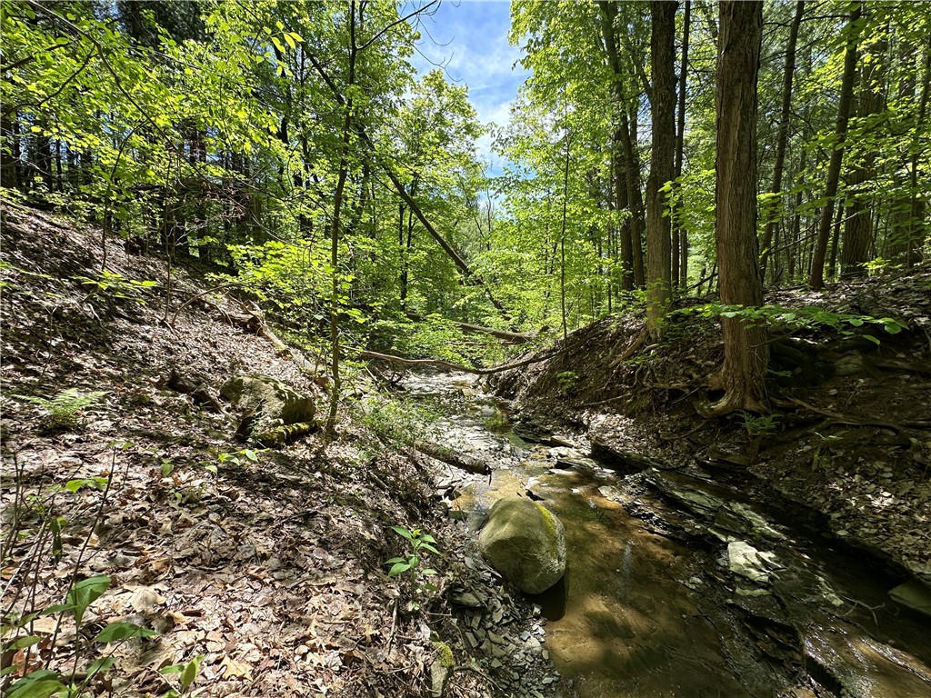 8128 W Hollow Road, Naples, New York image 10