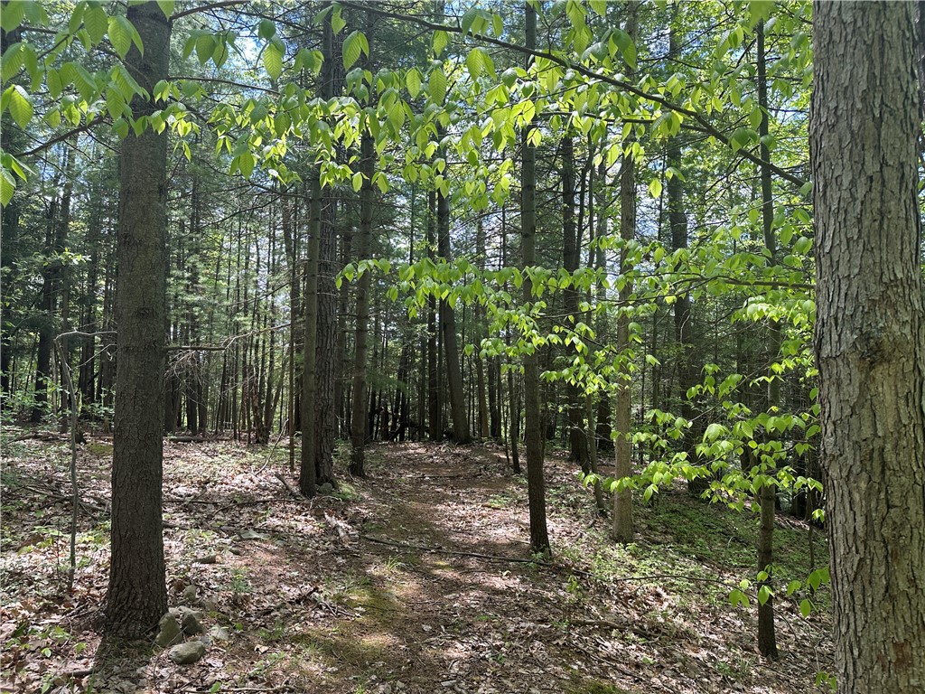 8128 W Hollow Road, Naples, New York image 26