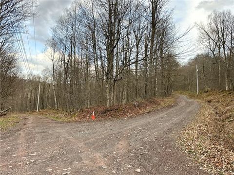 Vacant Land For Sale - Madigan Lane<br/> Hancock, NY 13783