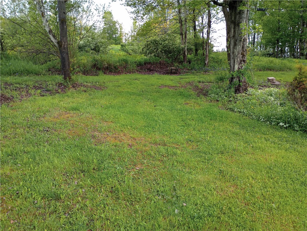 1718 Parker Hollow Road, Masonville, New York image 16