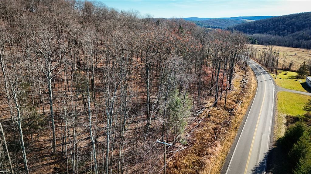 Photo of WP-01 Langford Creek Road, Van Etten, NY 14889 (MLS # R1652870)