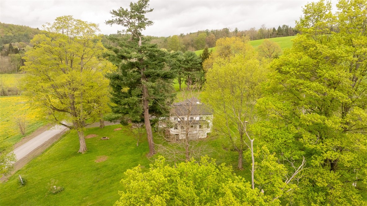164 Eddie Martin Road, Milford, New York image 46