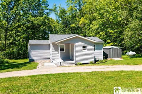 Homes For Sale - 532 Eccles Road<br/> Poland, NY 14747