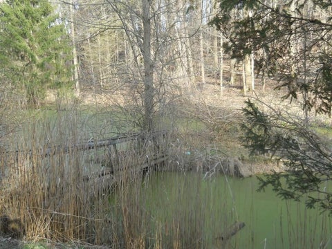 Tiny photo for Pinegrove Avenue, Irondequoit, NY 14617 (MLS # R1703037)
