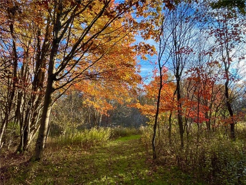 Vacant Land For Sale - Nys Route 98<br/> Cattaraugus County, Franklinville, NY 14737