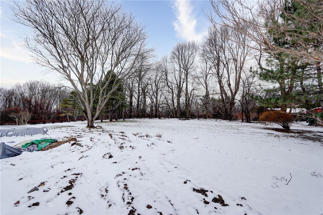33 Sutton Point, Pittsford, New York image 5